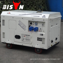 BISON(CHINA) BS12000SE 10kw 10kva Air-cooled Single Phase Diesel Generator 10KW